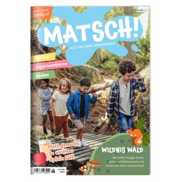 Matsch 6/22